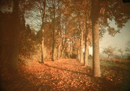 F&eacute;lix Thiollier Photographe
